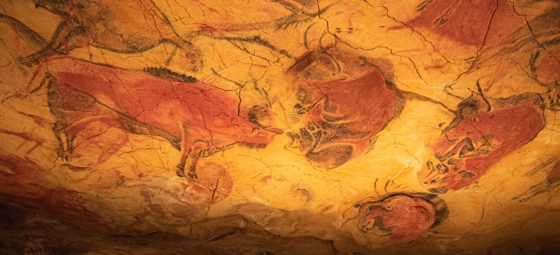 Cueva de Altamira, imagen de los bisontes