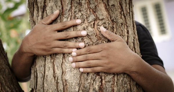 abrazar un árbol