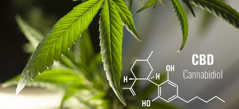 hoja de cannabis con su composición química
