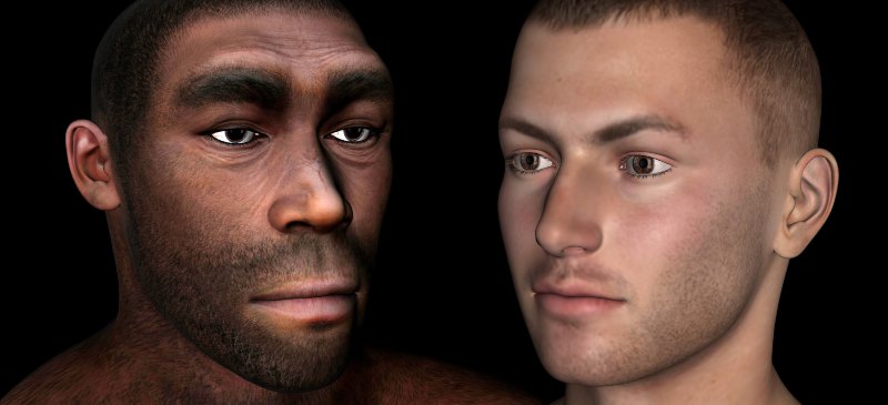 Homo erectus y homo sapiens