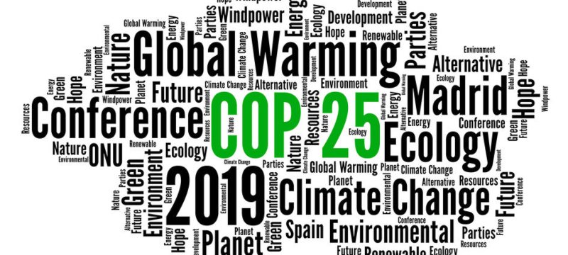 Conjunto de palabras sobre la cop25 como madrid, medio ambiente, ecologico, 2019