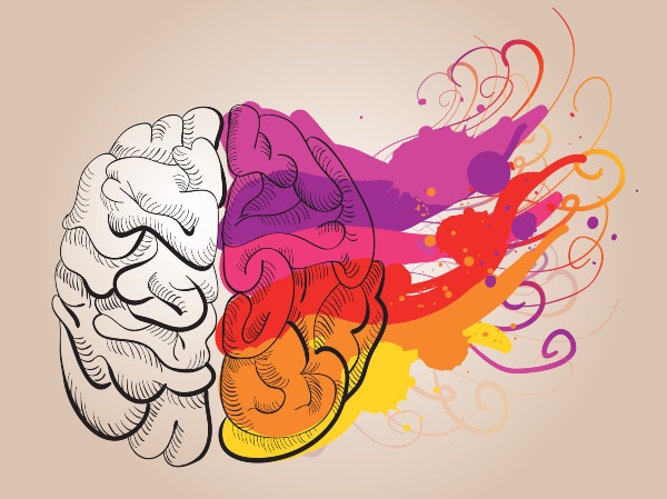 dibujo de un cerebro con colores