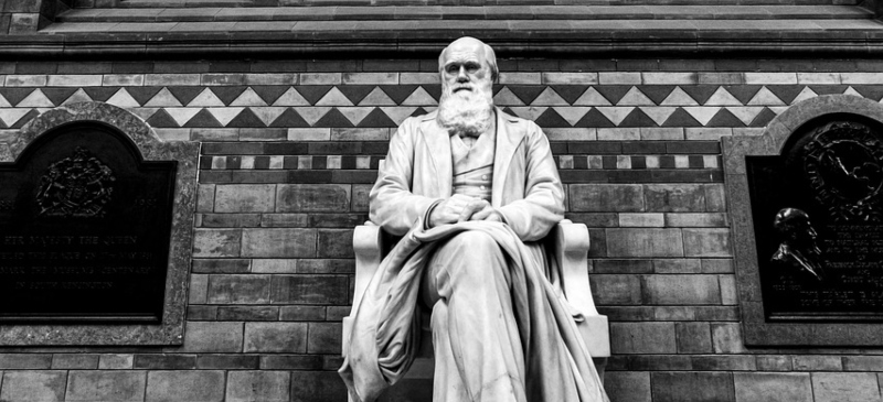 Estatua de Charles Darwin