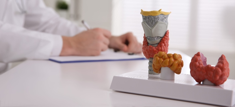 disruptores endocrinos