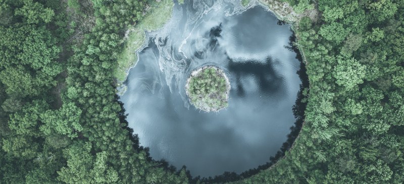 La importancia de la economía circular. Lago redondo rodeado de un bosque.