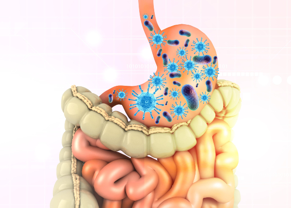 Infografía sobre el sistema digestivo Infografía sobre estómago