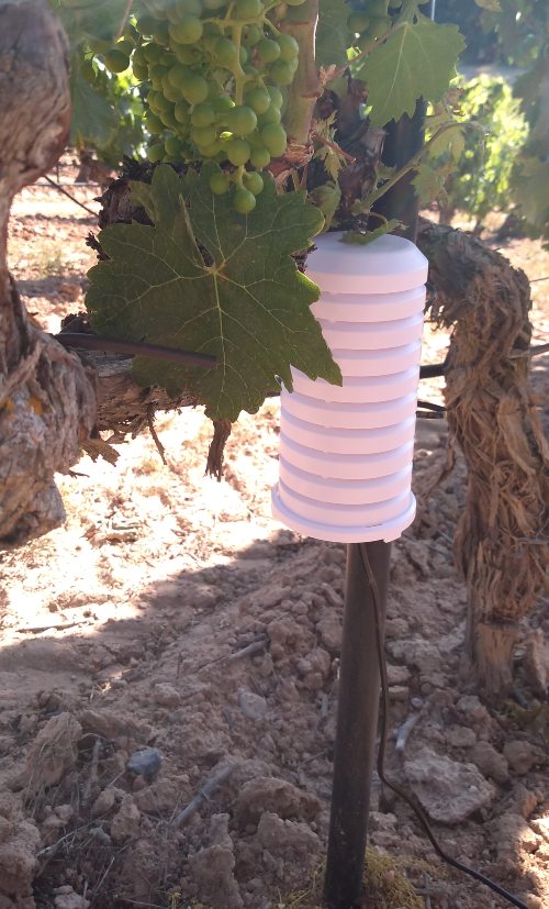 Imagen del sensor de humedad instalado en el viñedo.