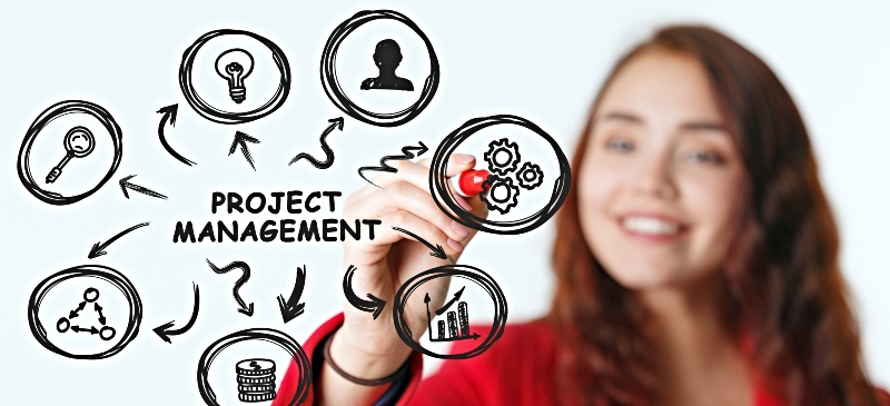 Diseño de algunas de las principales áreas del trabajo del gestor y director de proyectos