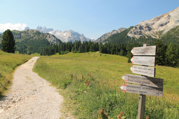Camino con señales en un camino rural