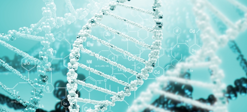 Cadenas de ADN
