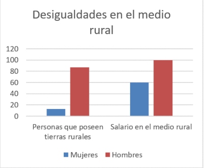 Gráfico desigualdades en el medio rural