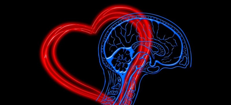 Inteligencia emocional y corazón rojo de neón y un cerebro azul de neón entrelazados