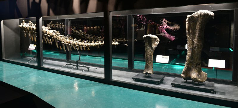 Museo de los dinosaurios de Teruel