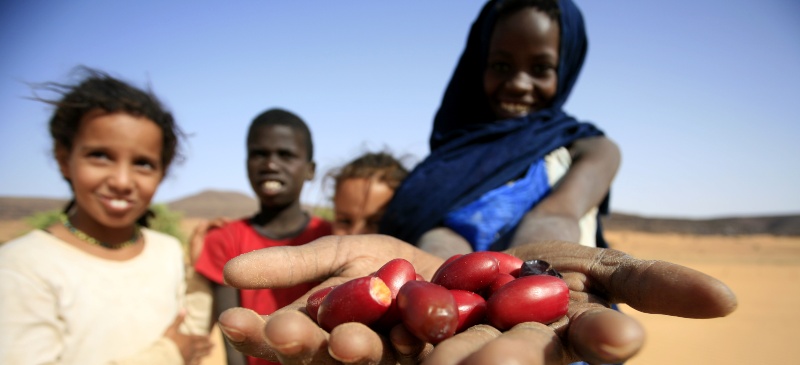 Imagen de akintundeakinleye. unos niños mostrando a la cámara unas semillas de la alubia roja
