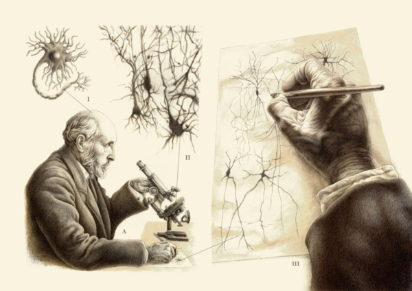 Ramón y Cajal, dibujo de él dibujando
