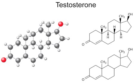 testosterona entera