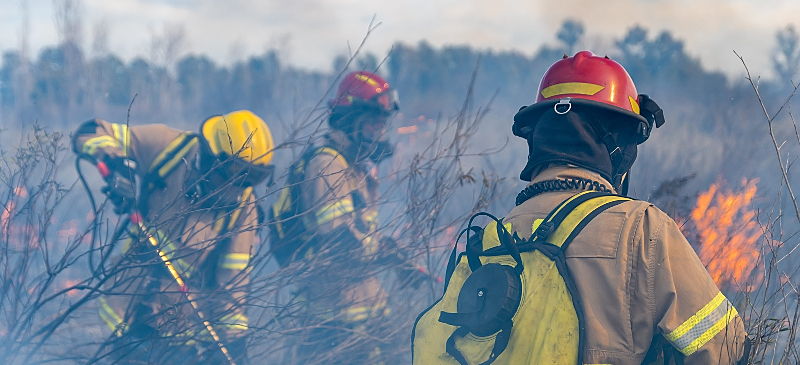 Bomberos extinguiendo un incendio forestal