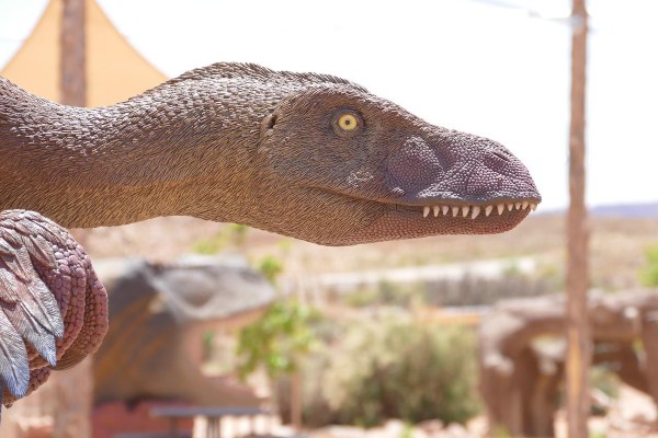cabeza de velociraptor