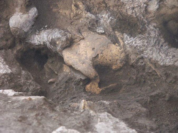 Vista general del yacimiento prehistórico de Dmanisi