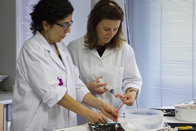 Alumnos de toda España acuden en Burgos a las prácticas presenciales del Grado en Nutrición de la Universidad Isabel I