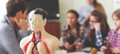 Manual de fisiología