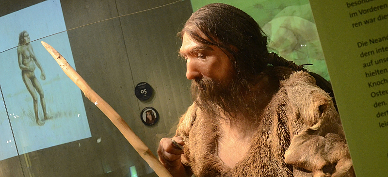 Neandertal del Museo de Mettmann en Alemania