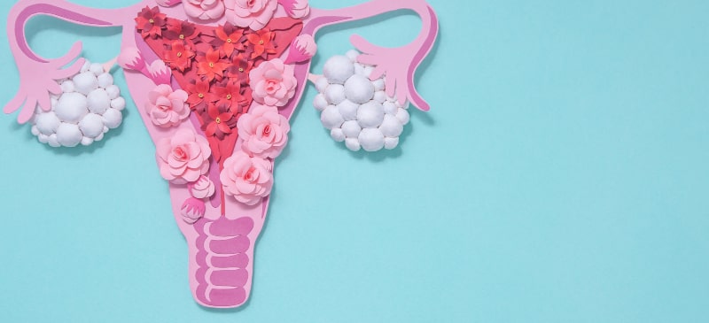 Imagen hecha en cartulina de un aparato reproductor femenino elaborado con flores de papel en tonos blancos y rosas