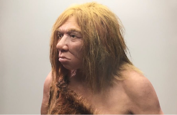 La Universidad Isabel I participa en un estudio sobre el neandertal