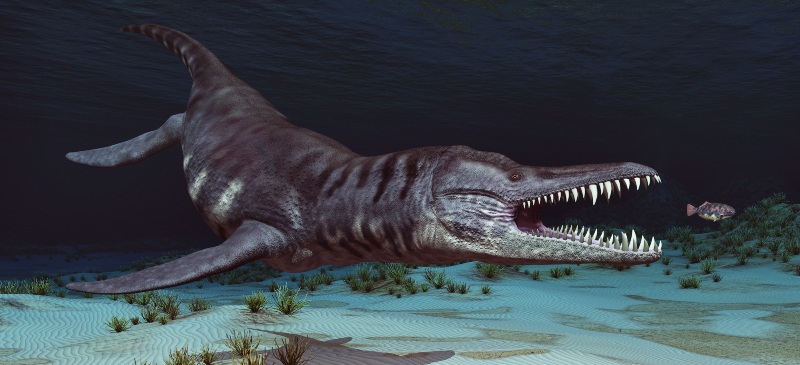 Reptil prehistórico marino liopleurodon