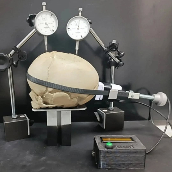 Cráneo deformado de forma artificial para comprobar la presión que es necesaria para provocar los cambios en su estructura ósea