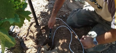 Víctor Martínez realizando la práctica en el viñedo