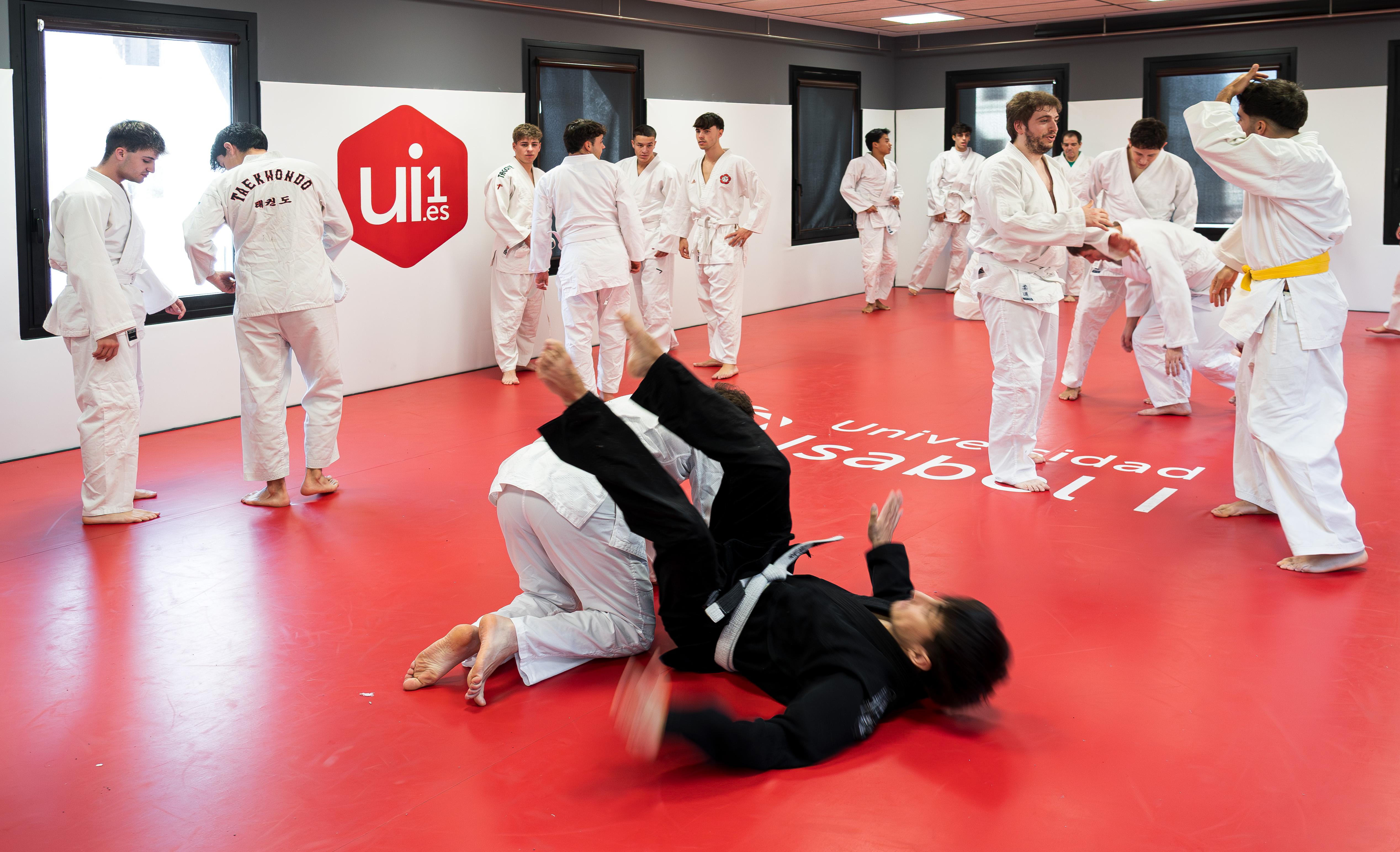 Prácticas Presenciales CAFD Tatami